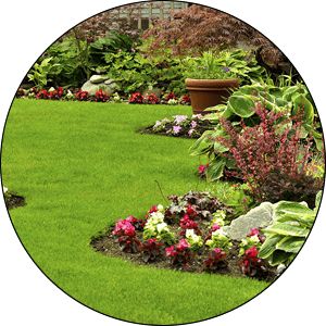 Germantown Landscaping Services and Installation