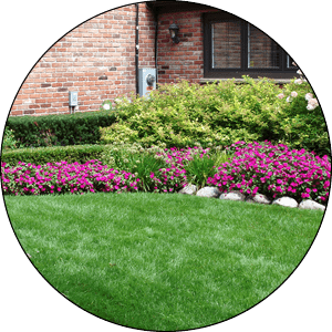Delafield Landscaper Services