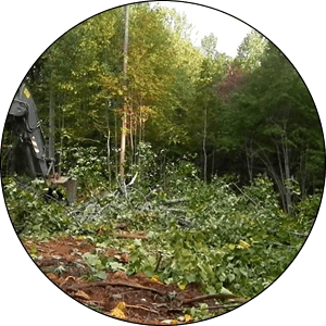 Brookfield Land Clearing and Tree Removal