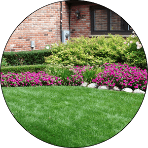 Germantown Landscaper Services