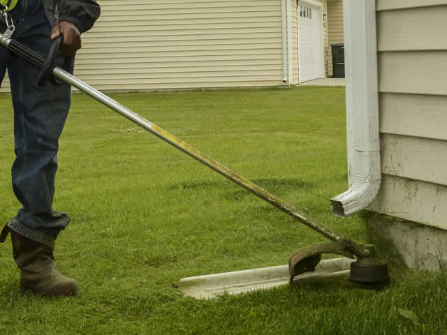 Lawn Maintenance Services