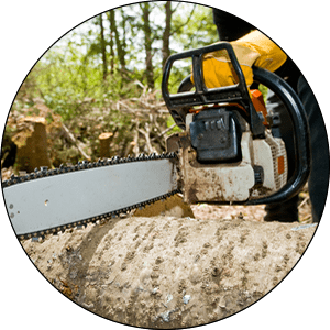 Muskego Tree Removal Services