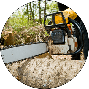 Oconomowoc Tree Removal Services