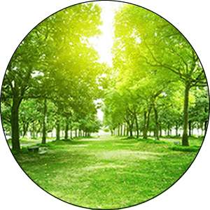 Germantown Tree Care Services